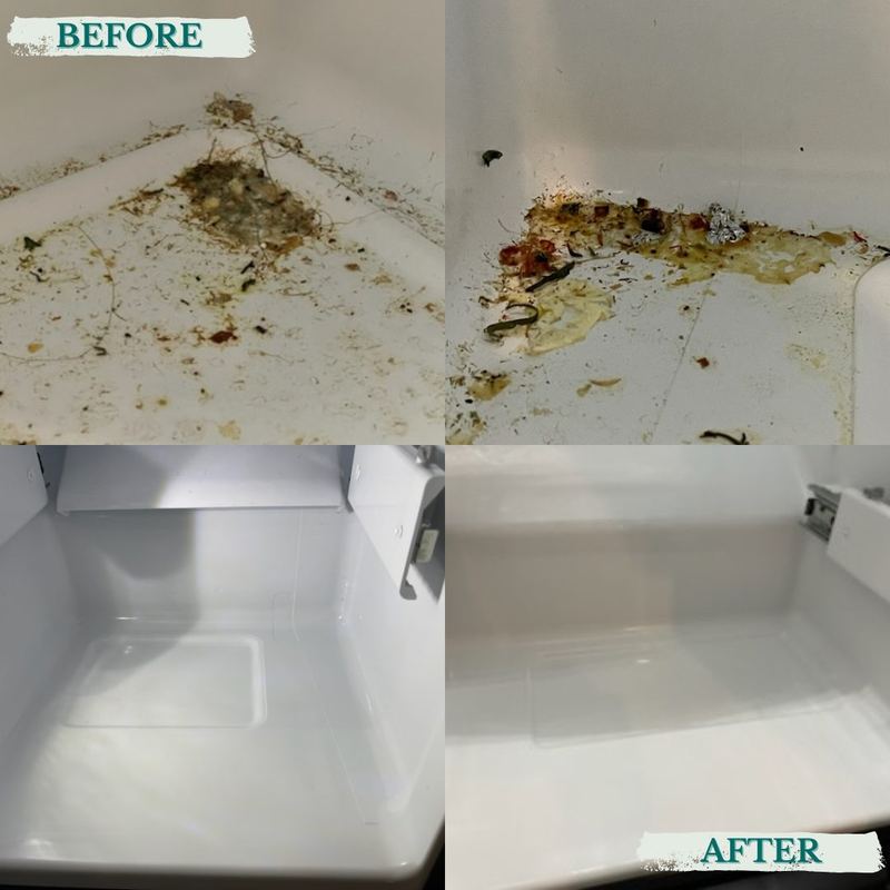 Before and after: Inside appliances detailed for the walkthrough