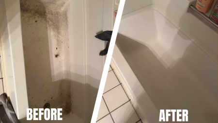 Before and AFter (4)