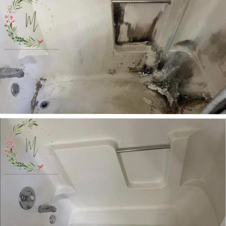 Ideal Professional Janitorial Service